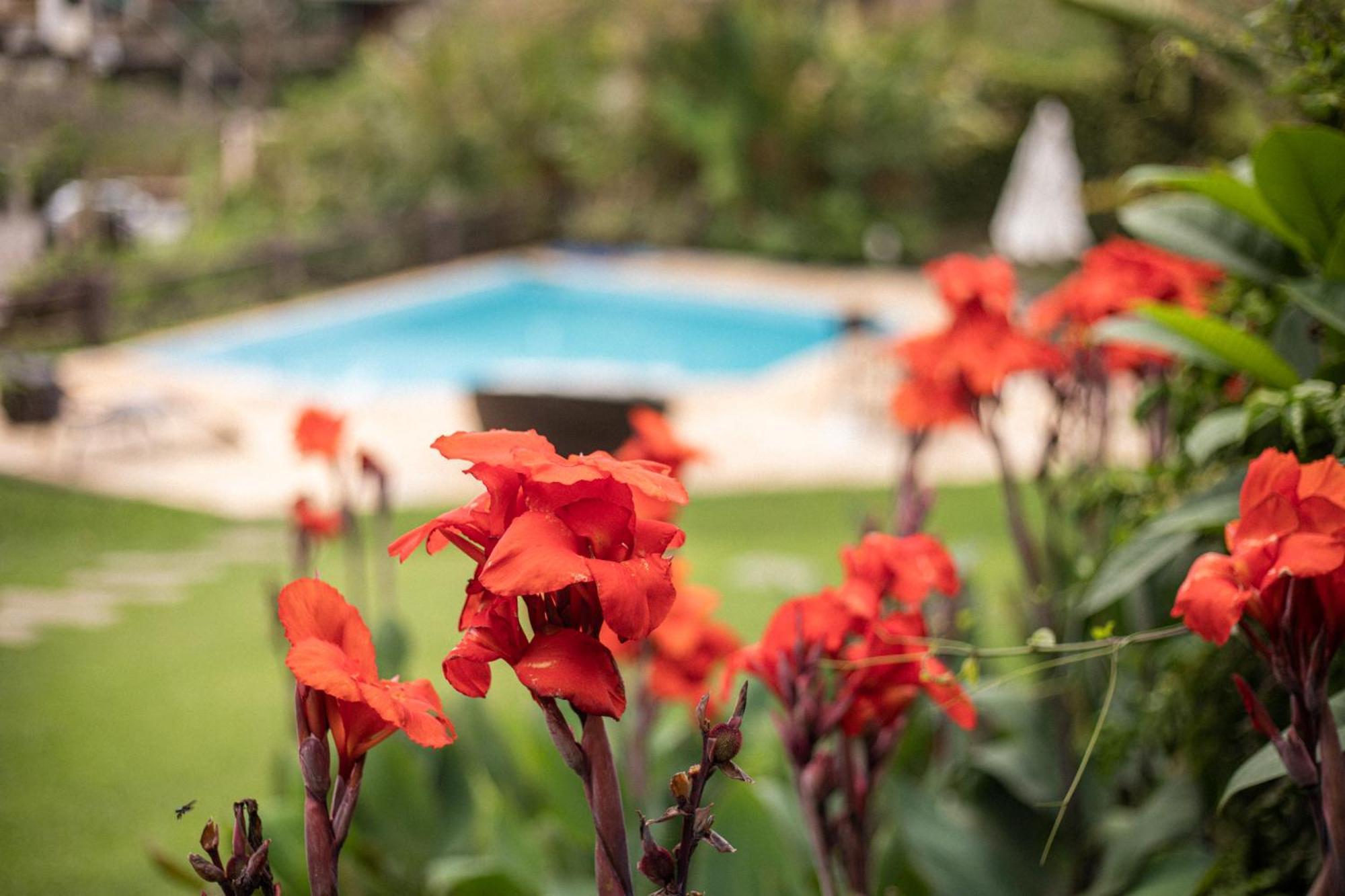 Hibiscus Beach Búzios Eksteriør bilde